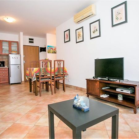 Apartment Morena Novigrad Istria 외부 사진