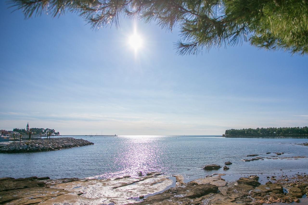 Apartment Morena Novigrad Istria 외부 사진