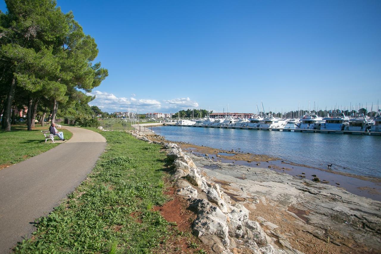 Apartment Morena Novigrad Istria 외부 사진