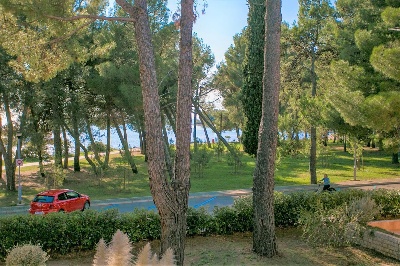 Apartment Morena Novigrad Istria 외부 사진