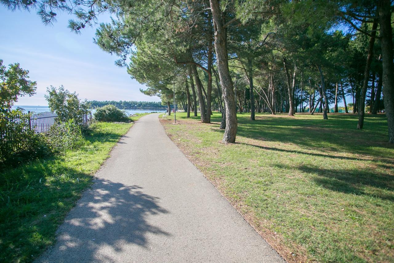 Apartment Morena Novigrad Istria 외부 사진